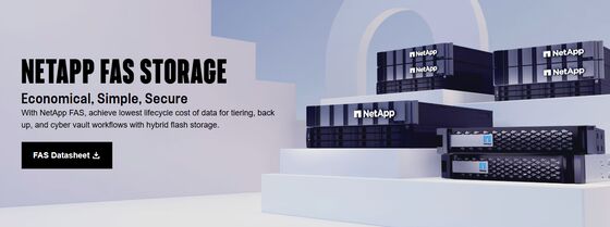 Netapp FAS Storage